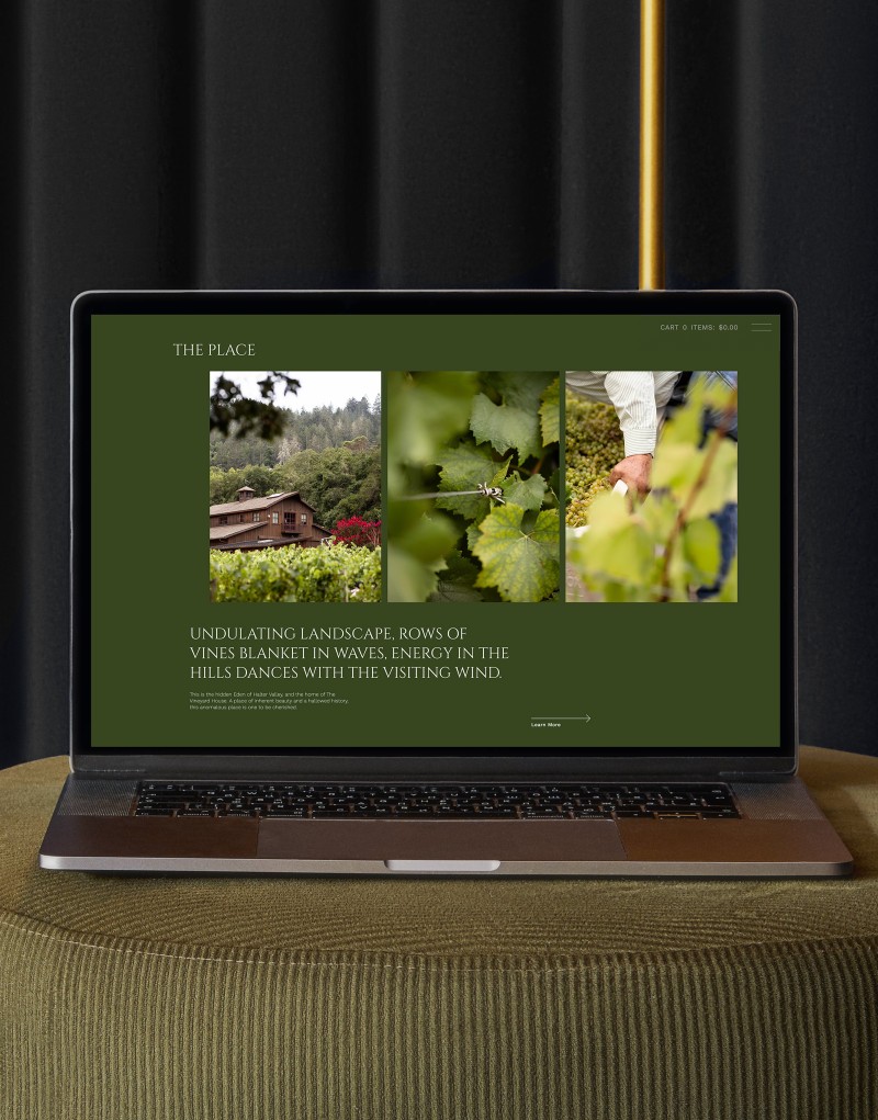 TVH_Website_Design_Home_Primary
